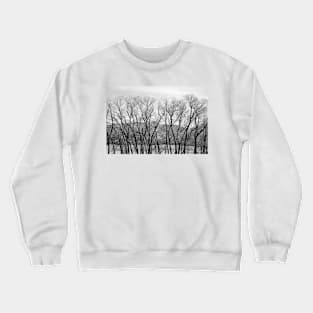 Timbered Blockade Crewneck Sweatshirt